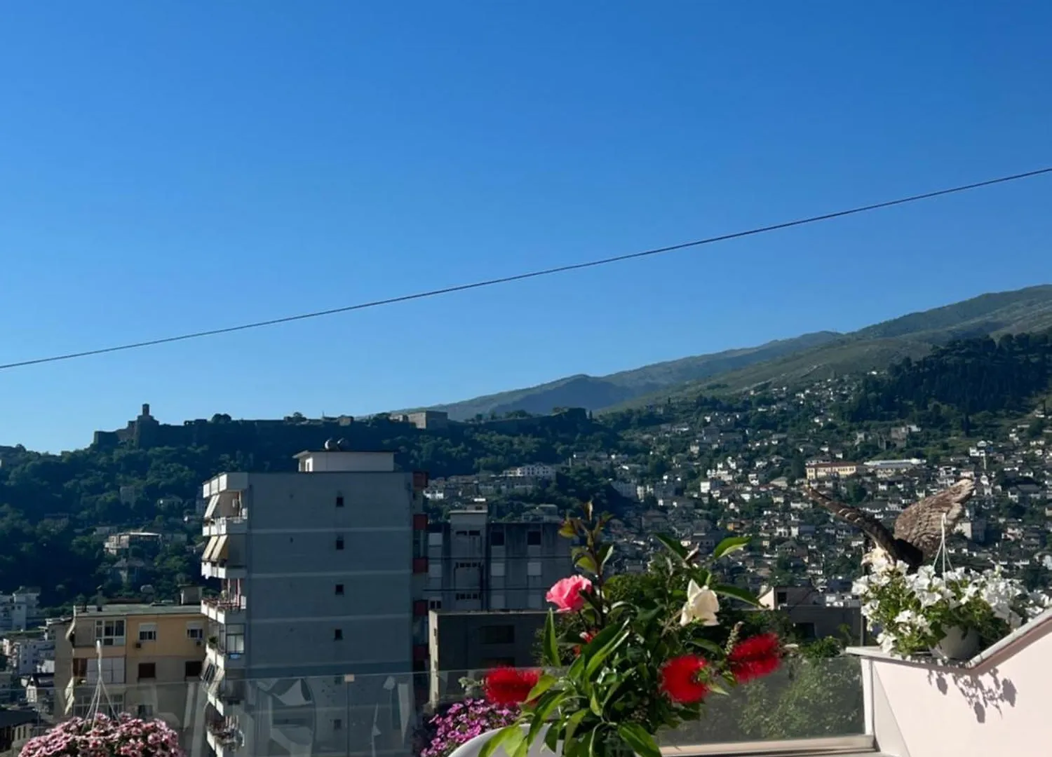 Flower Terrace Apartment Gjirokaster
